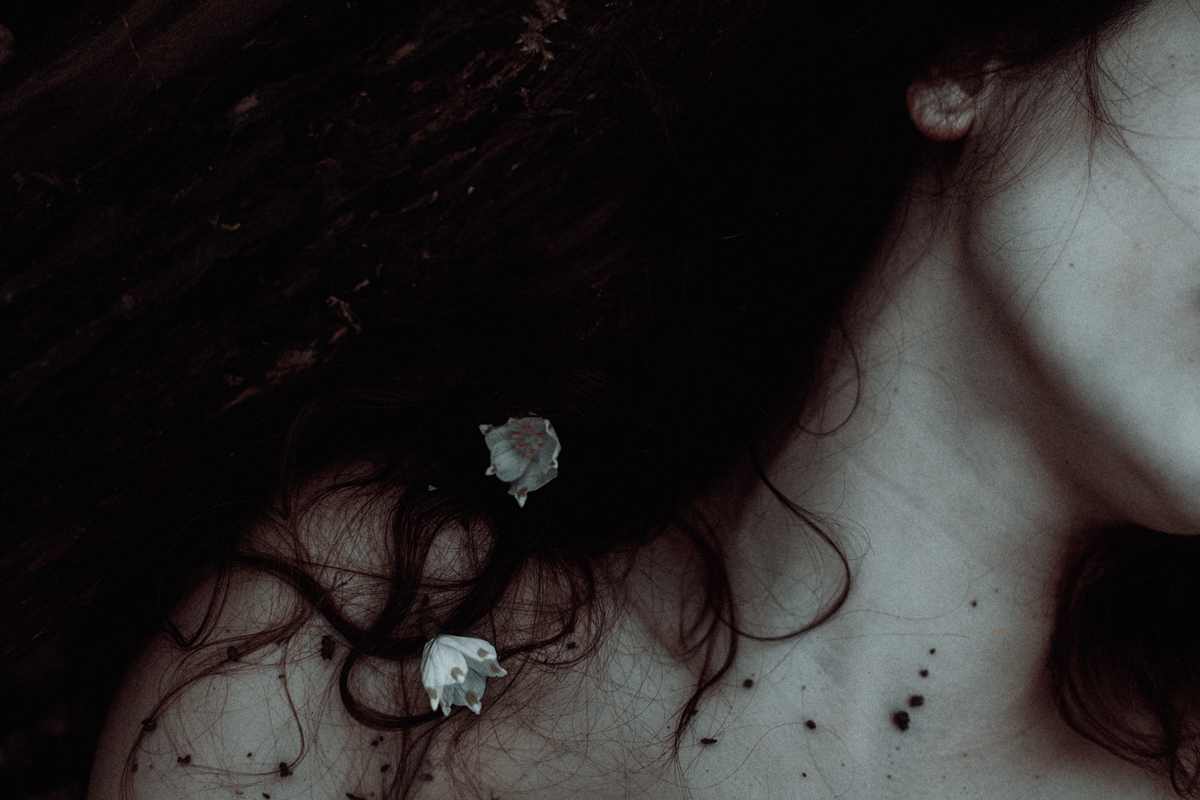 danaflower-fb-10.jpg