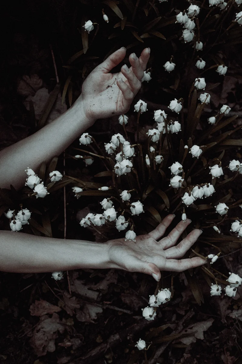 danaflower-fb-12.jpg