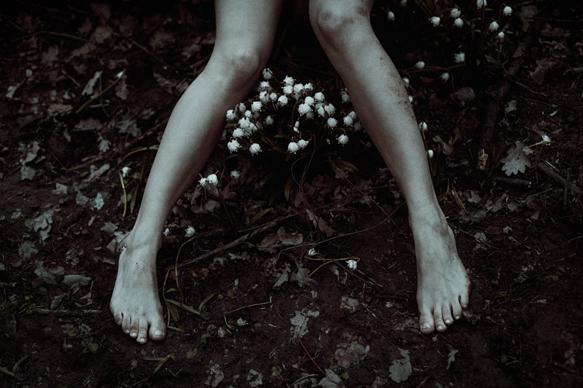 danaflower-fb-13.jpg