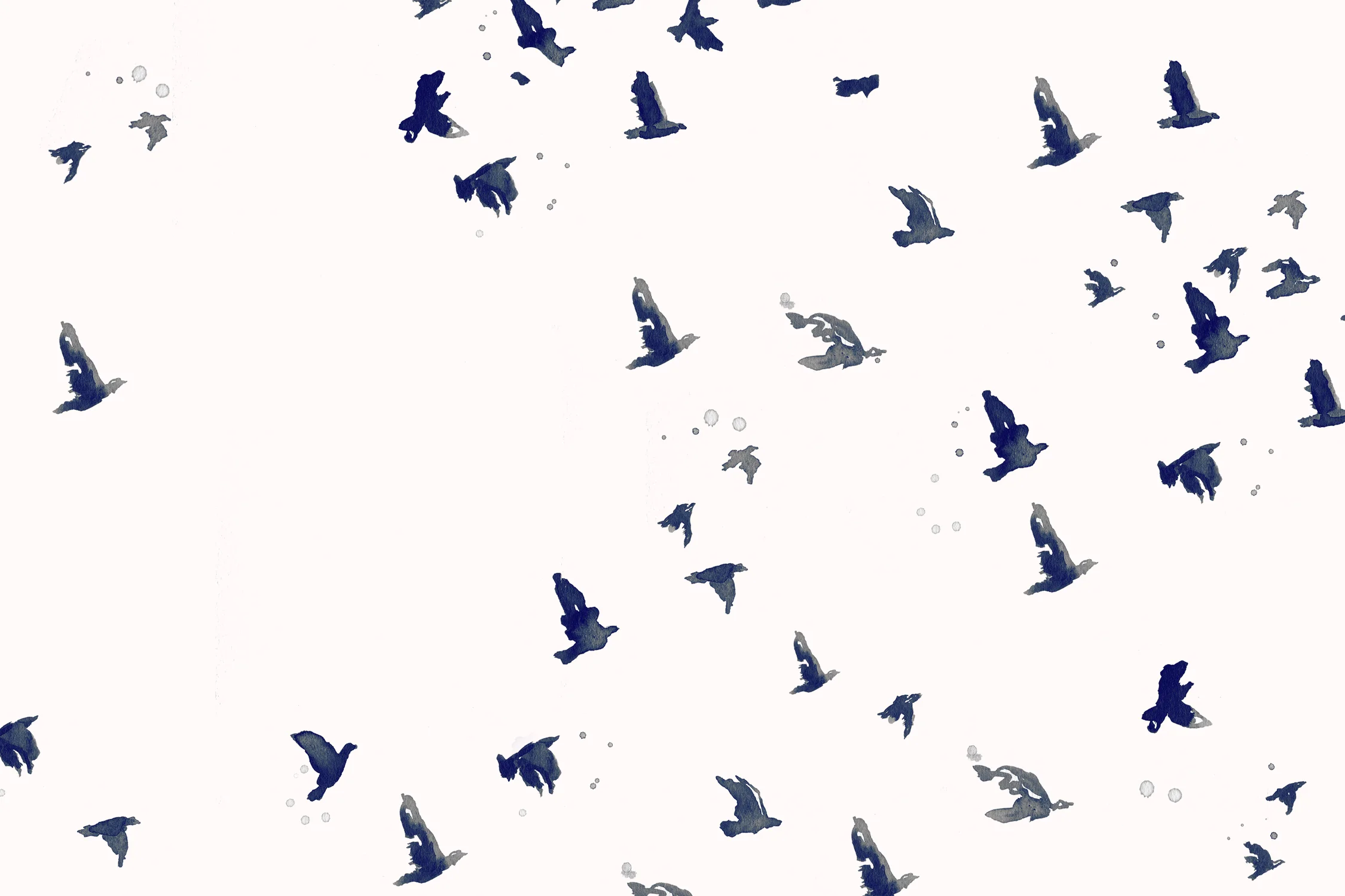 birds_homepage.6.jpg