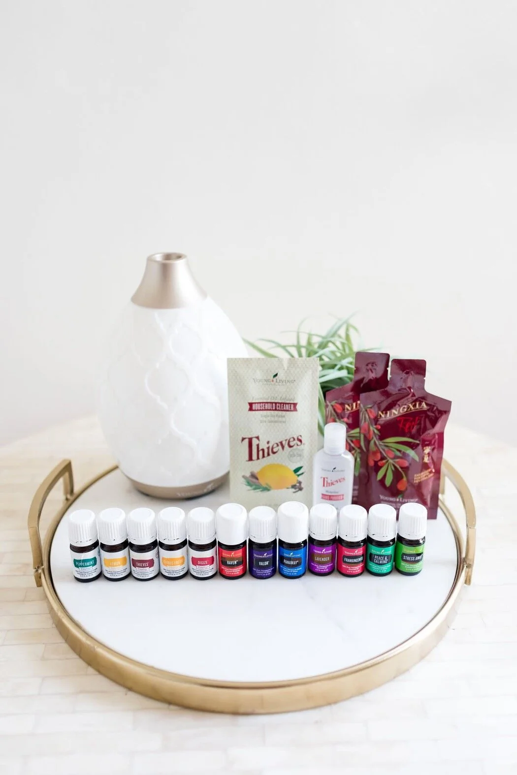Grab your wellness toolkit here with me, this is the Desert Mist diffuser Premium Starter Kit —you won’t regret it!