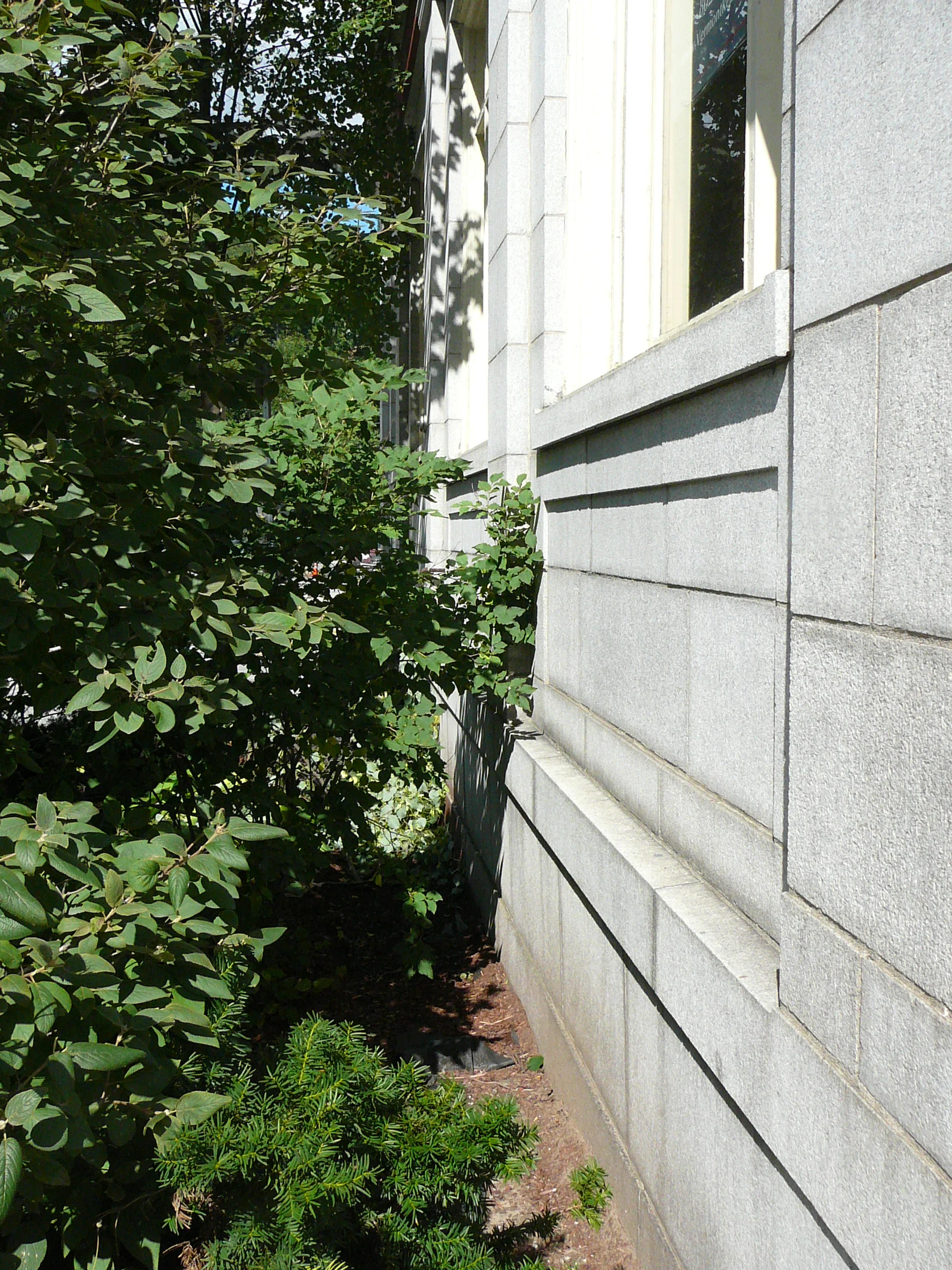 P1010576.JPG