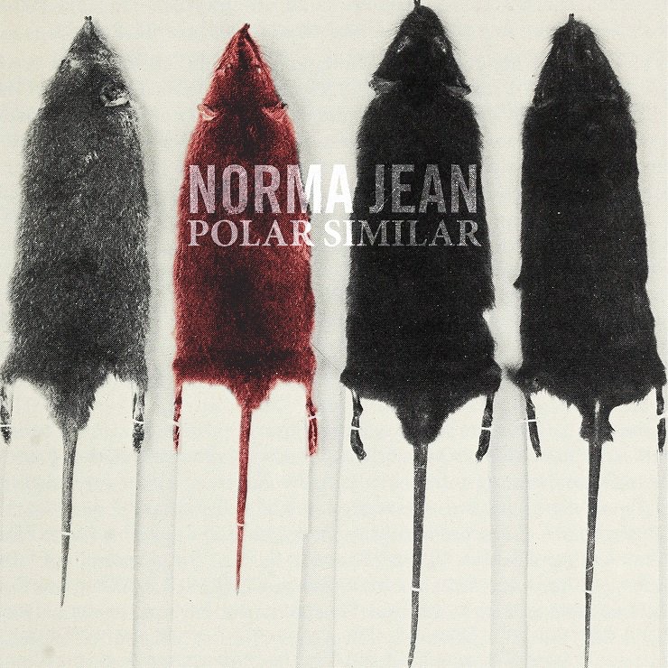 Norma Jean- Polar Similar