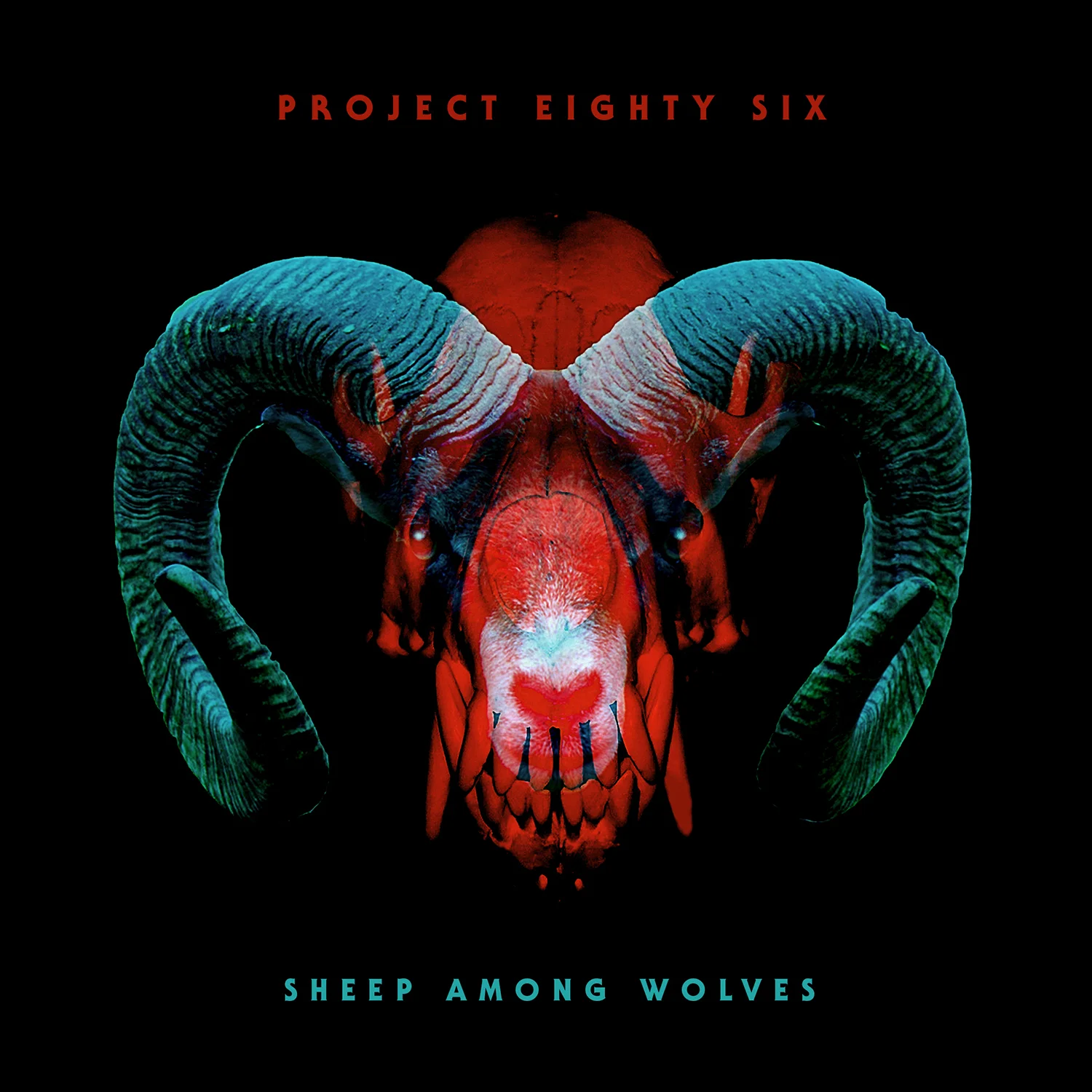 Project 86 Sheep Among Wolves