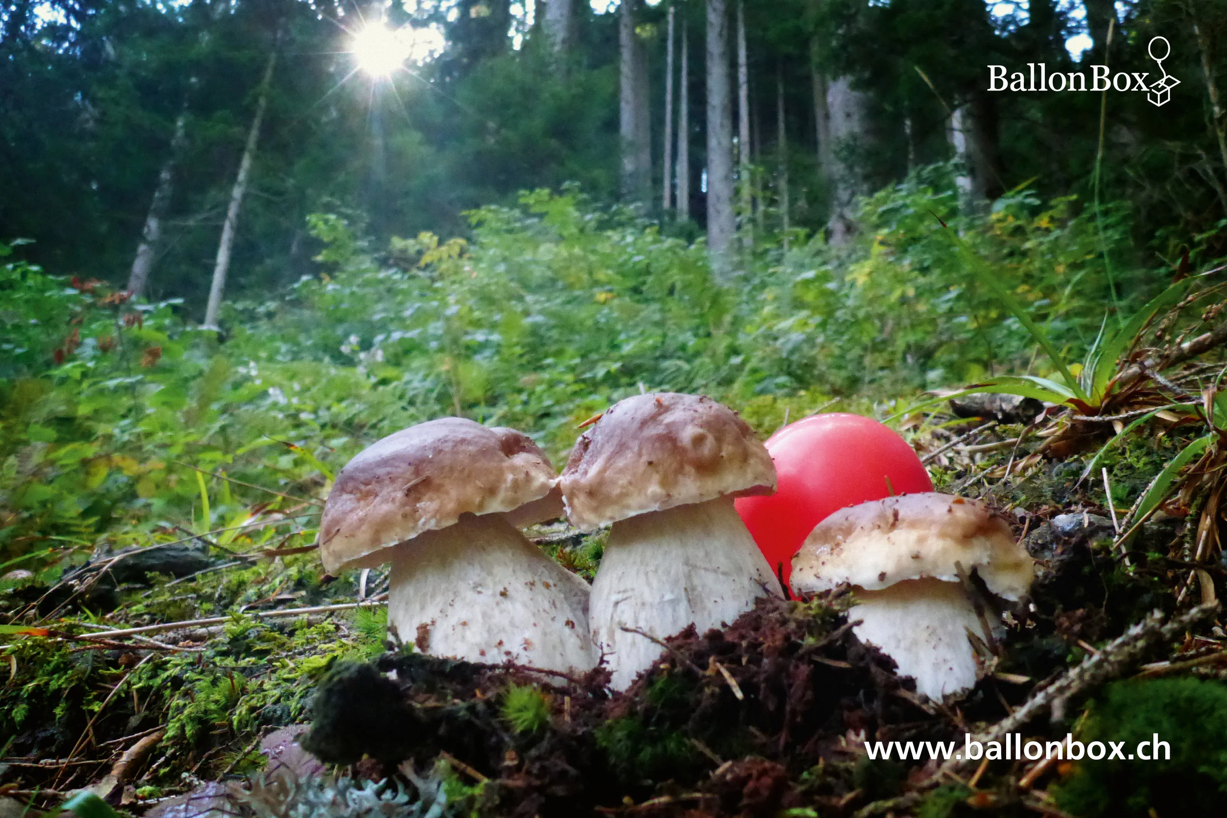 BallonBox_Kalender_19-09.jpg