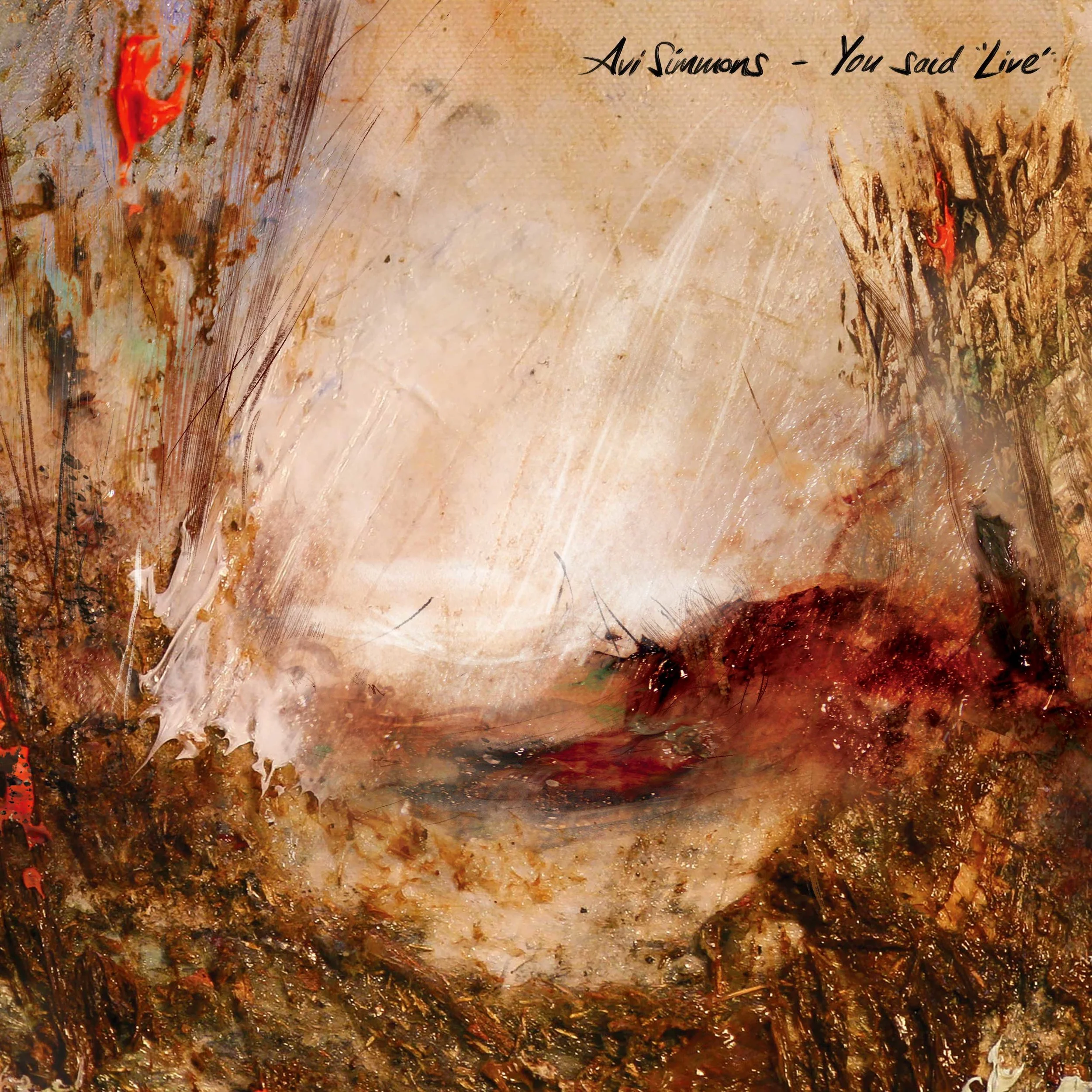 Avi Simmons - You Said 'Live'