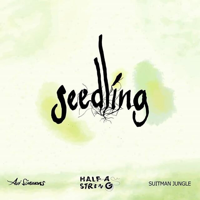 **ANNOUNCEMENT**
.
My music collaboration with @suitmanjungle is now available to download from the @halfastring website (link in bio!)
.
Grab yourself some folky, drum and bass, collaborativey goodness for the soul 💚💚💚
.
Includes music from the t