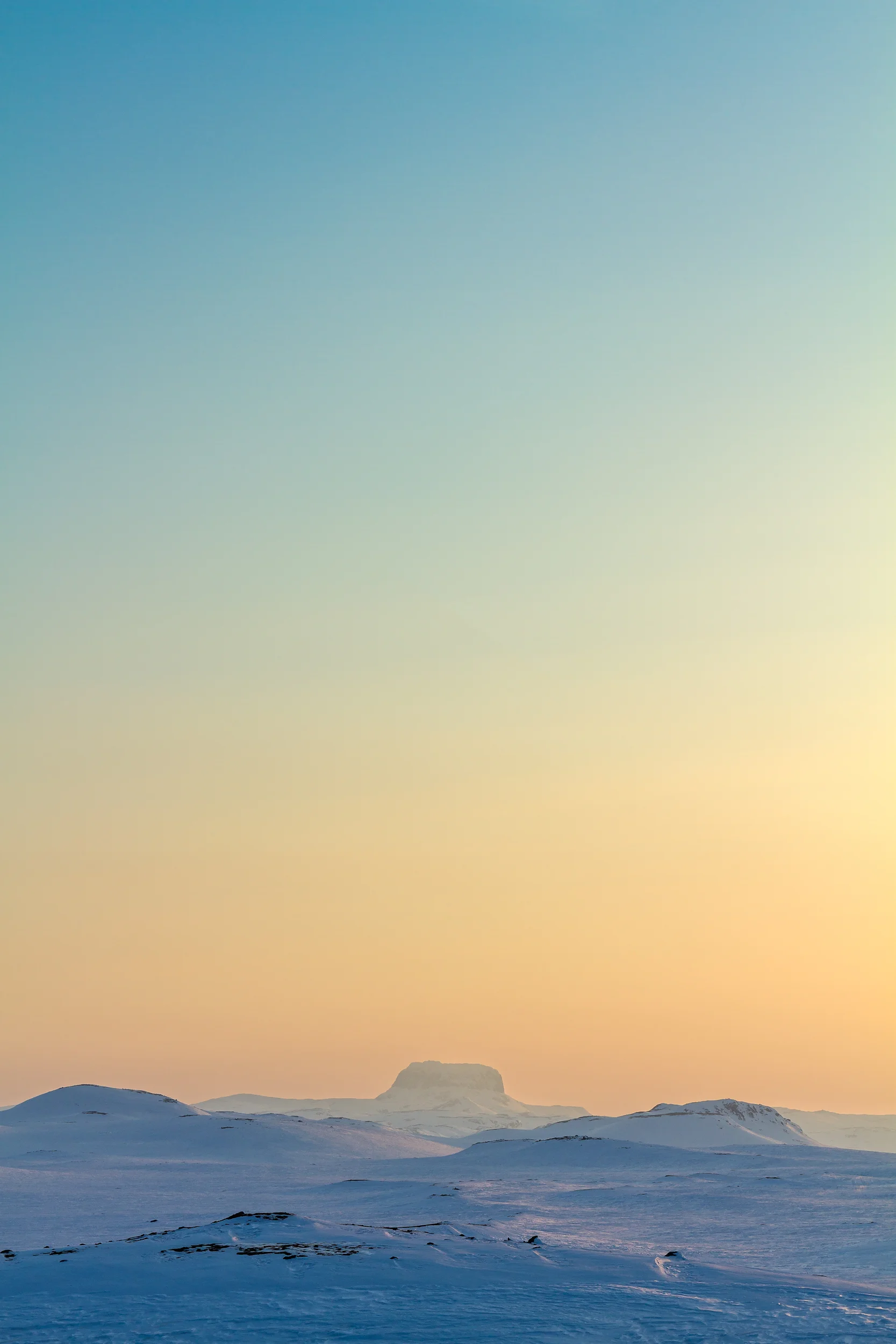 _MG_8576_A3+.jpg