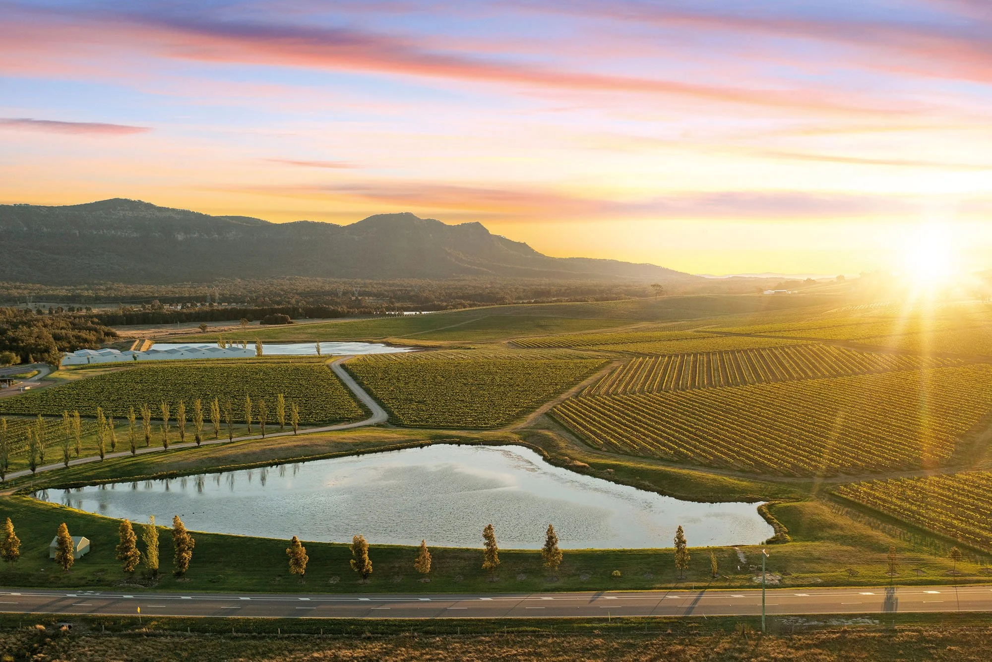 THE ART OF THE PIANO QUINTET 2025