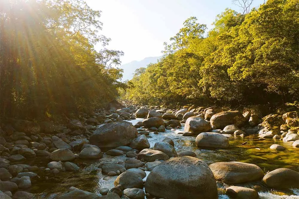 Daintree Rainforest Festival of Music 2027