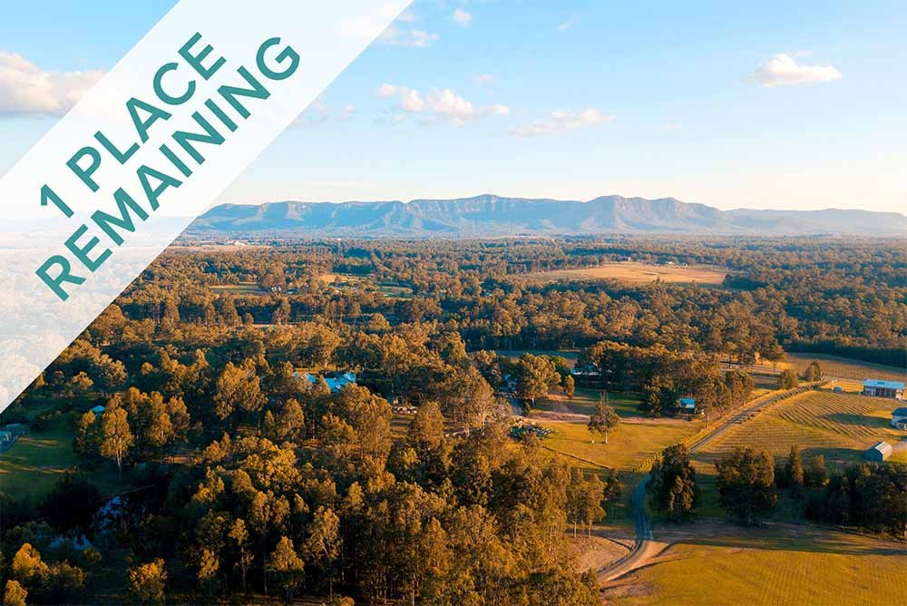 The Art of the Violin 2026