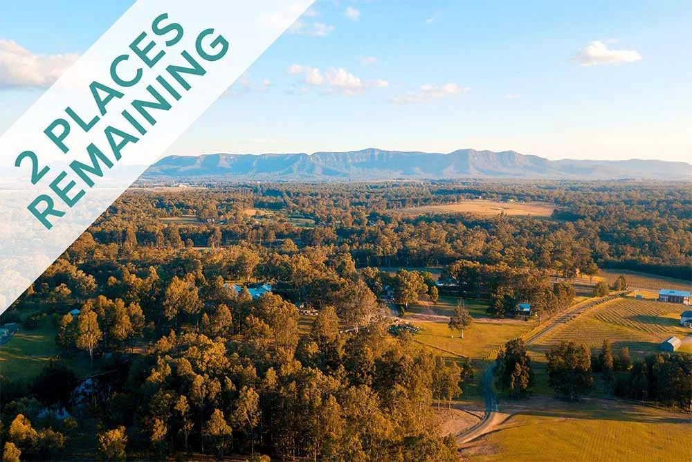 The Art of the Violin 2026