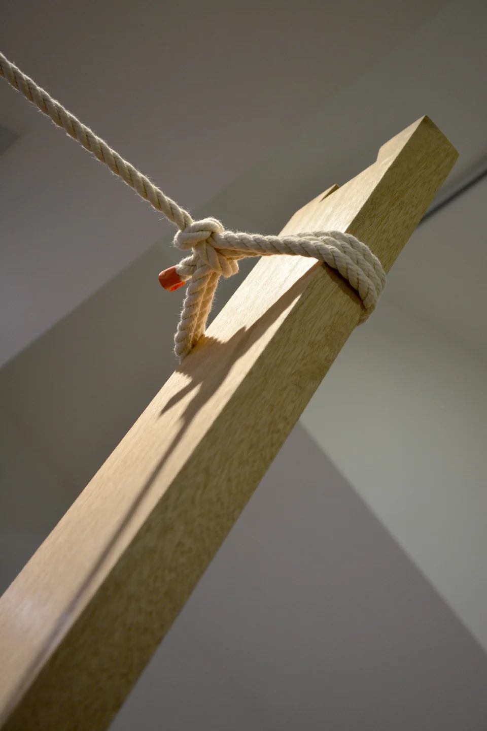zoe-web-3.jpg