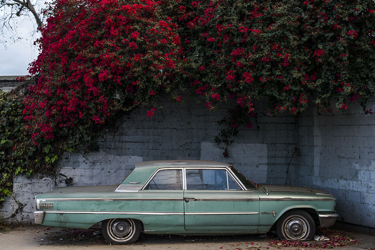 Los Angeles, CA