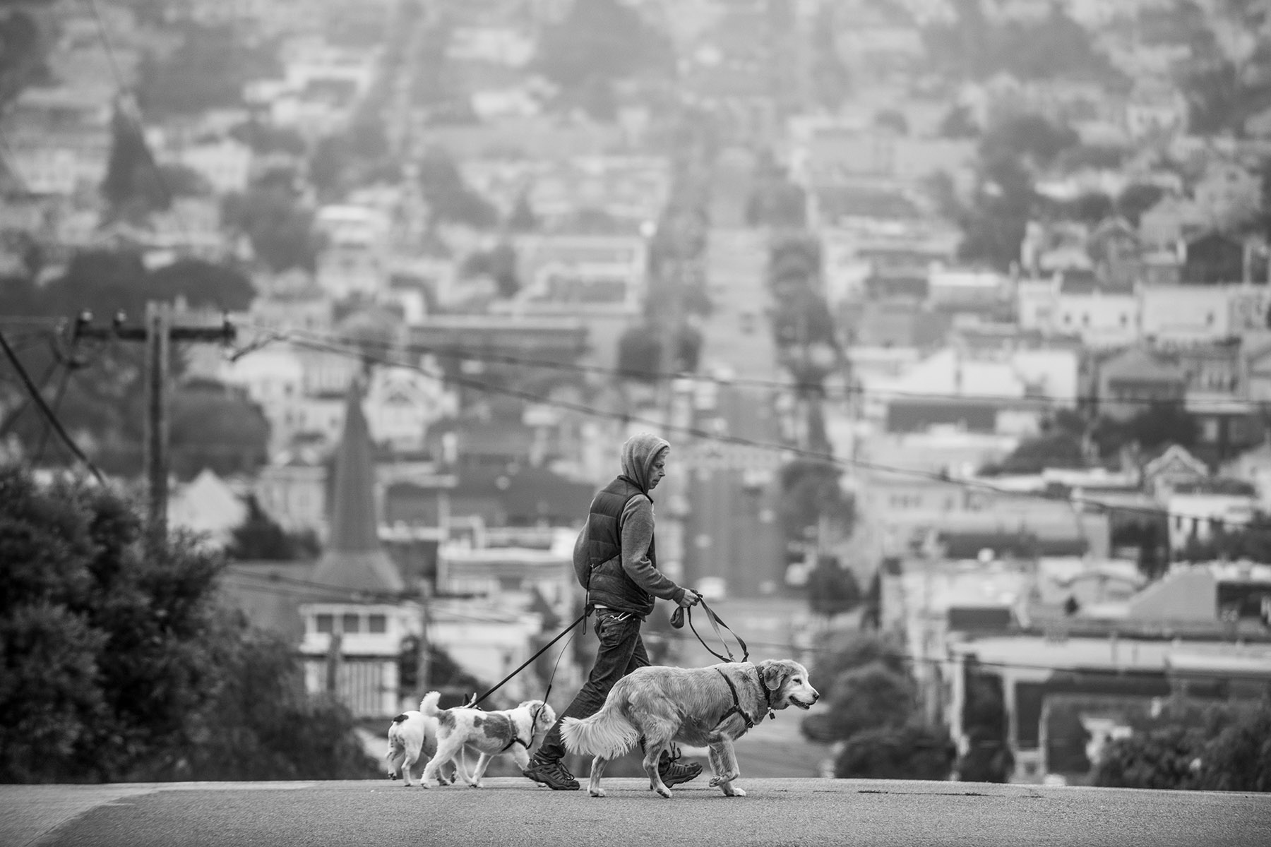 San Francisco, CA
