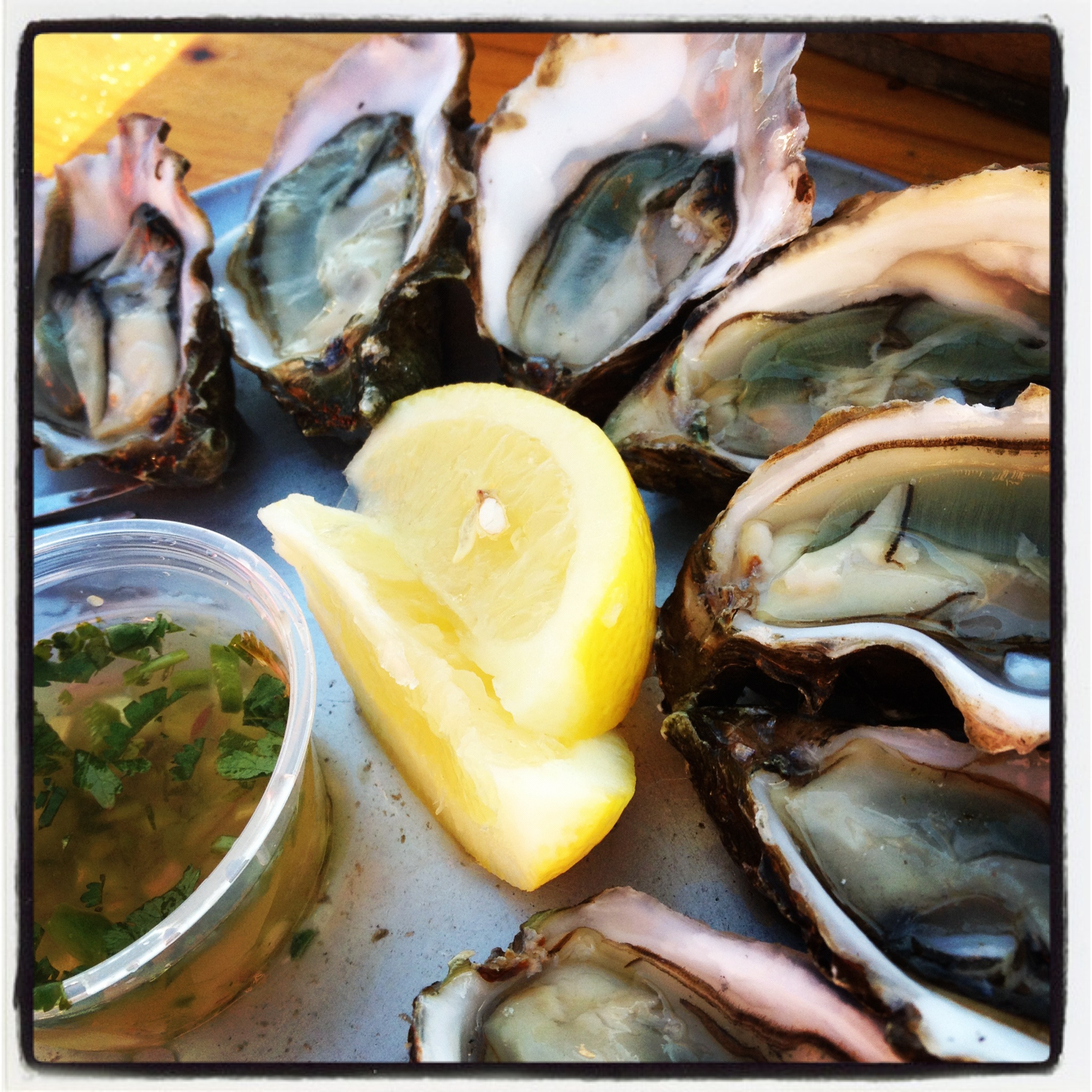 Oysters from The Marshall Store