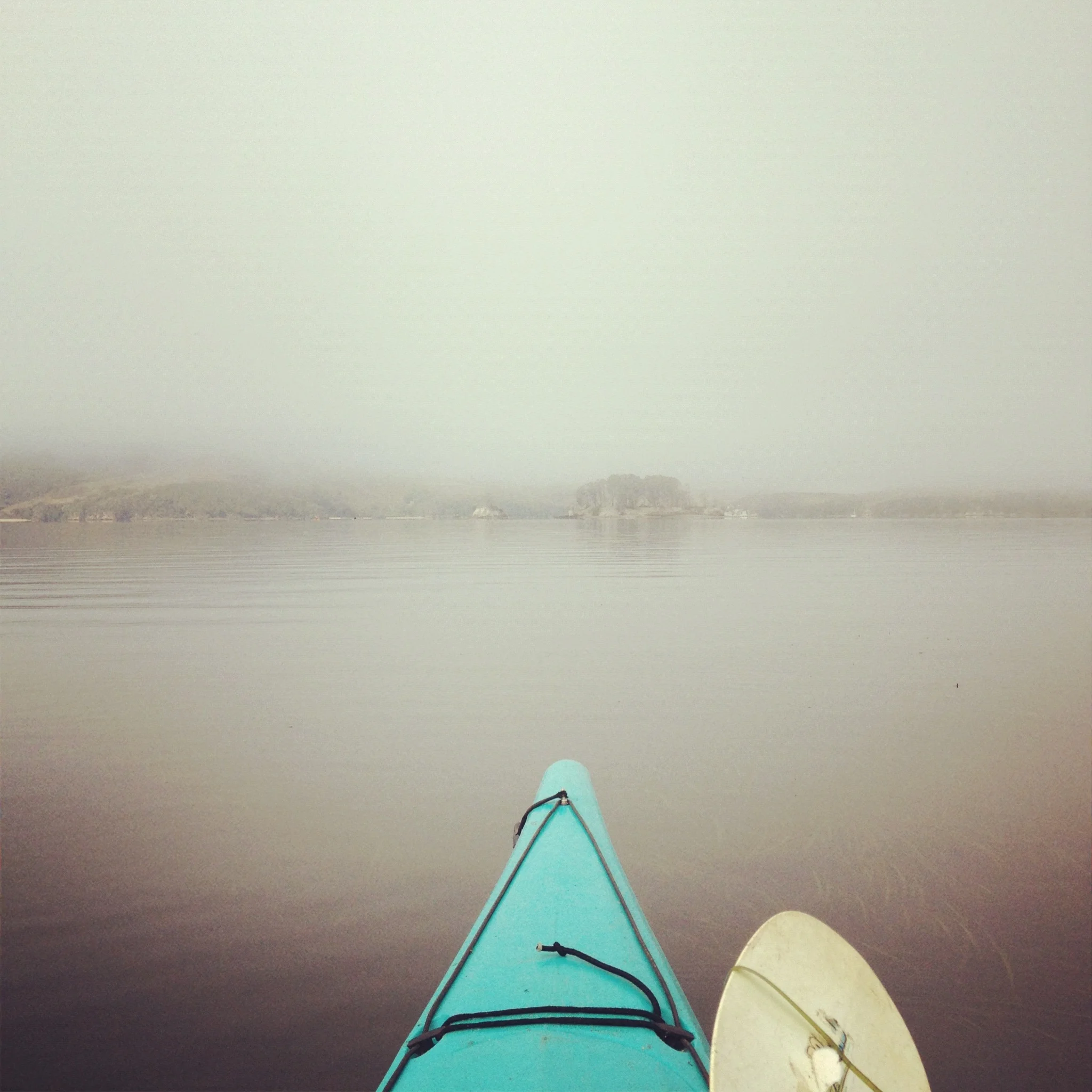 Heading out into Tomales Bay in the fog