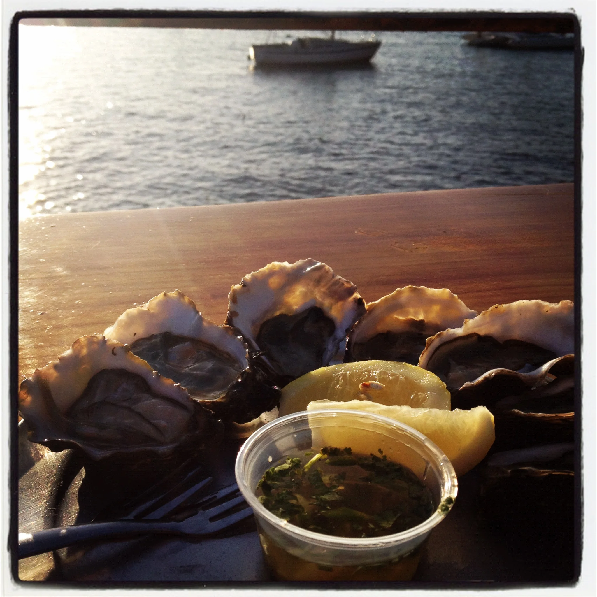 Tomales Bay and Beyond