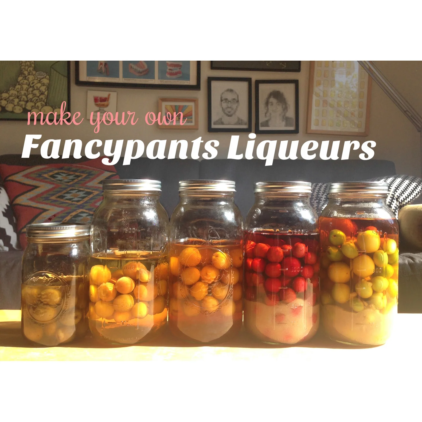 Make Fancypants Fruit Liqueurs 