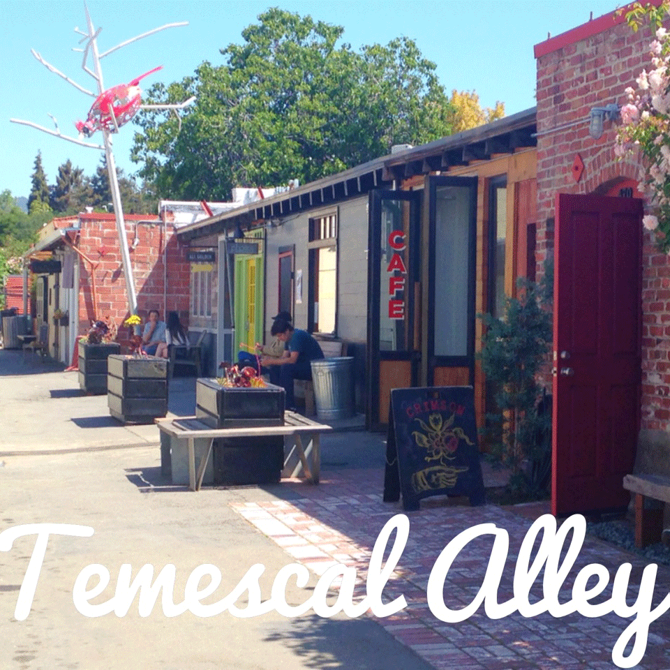 Bay Area Love: Temescal Alley