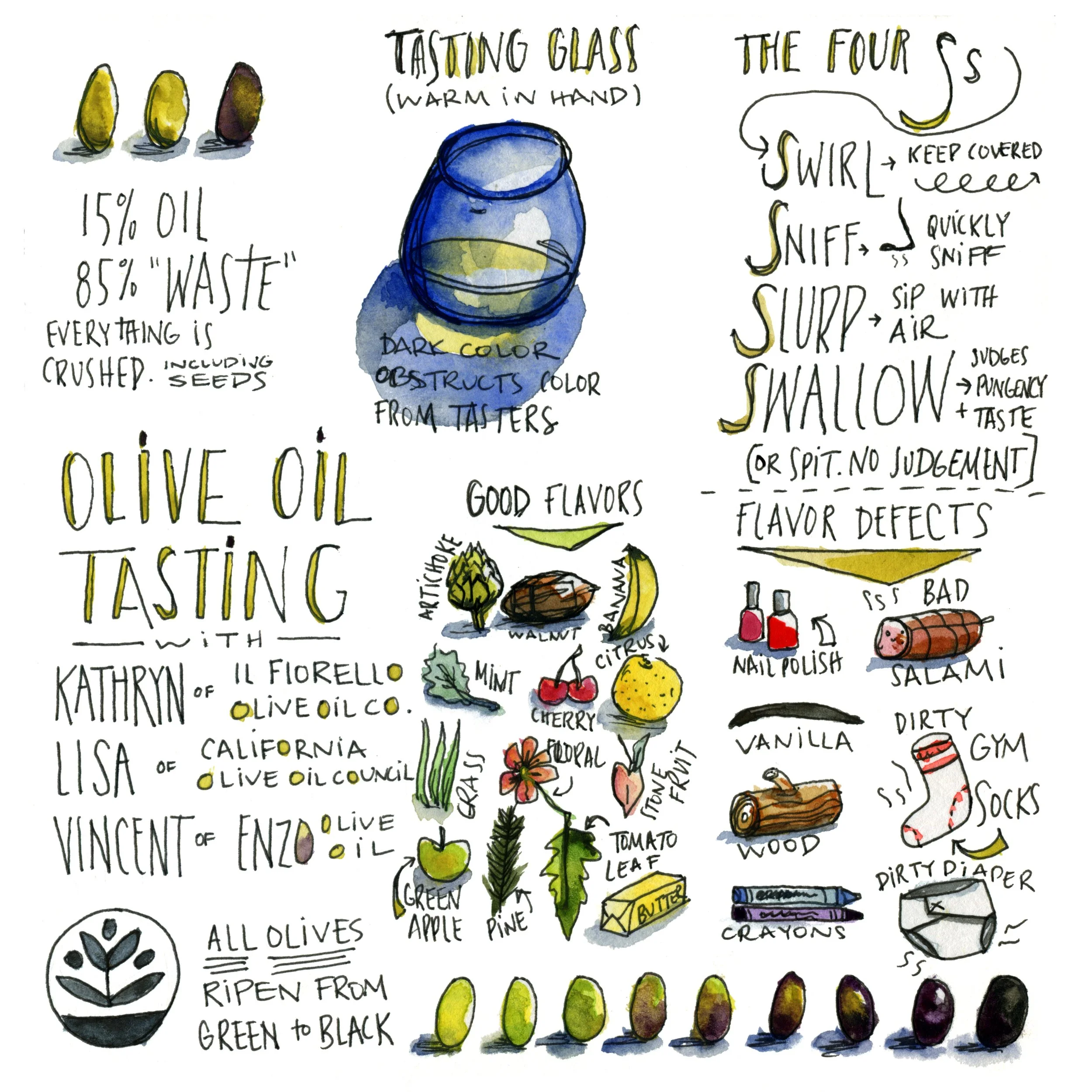 eatretreat olive oil sketch print.jpg