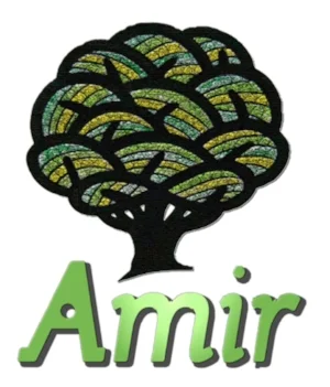 amir.jpg