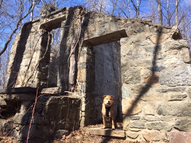 Poncho inside an abandoned stone building