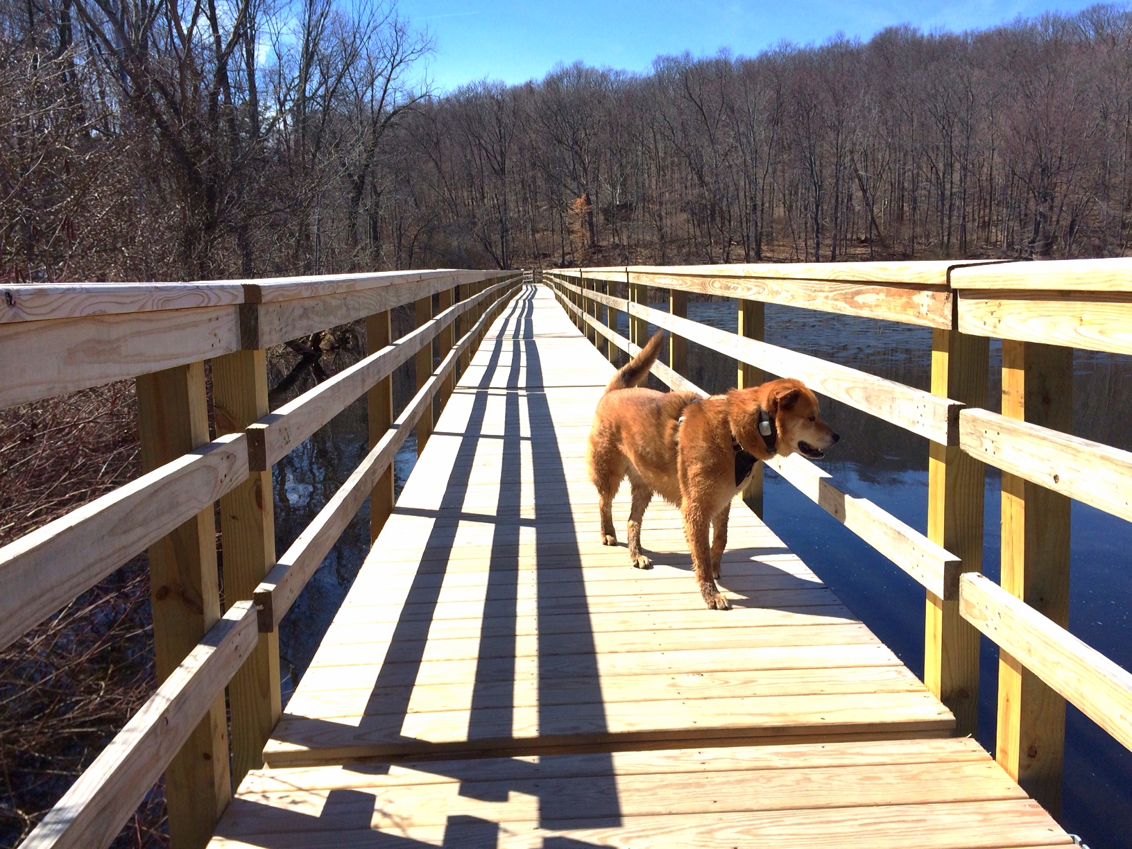 Footbridge on the south side of Teatown Lake