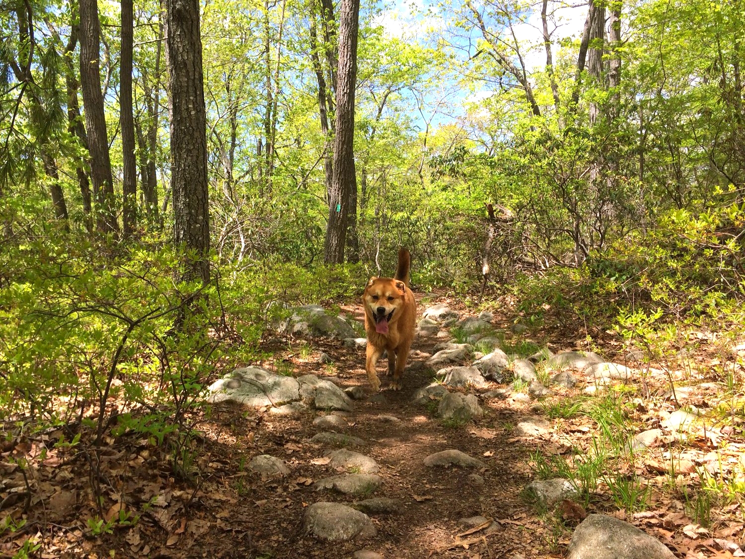 May20_hike(1).jpeg