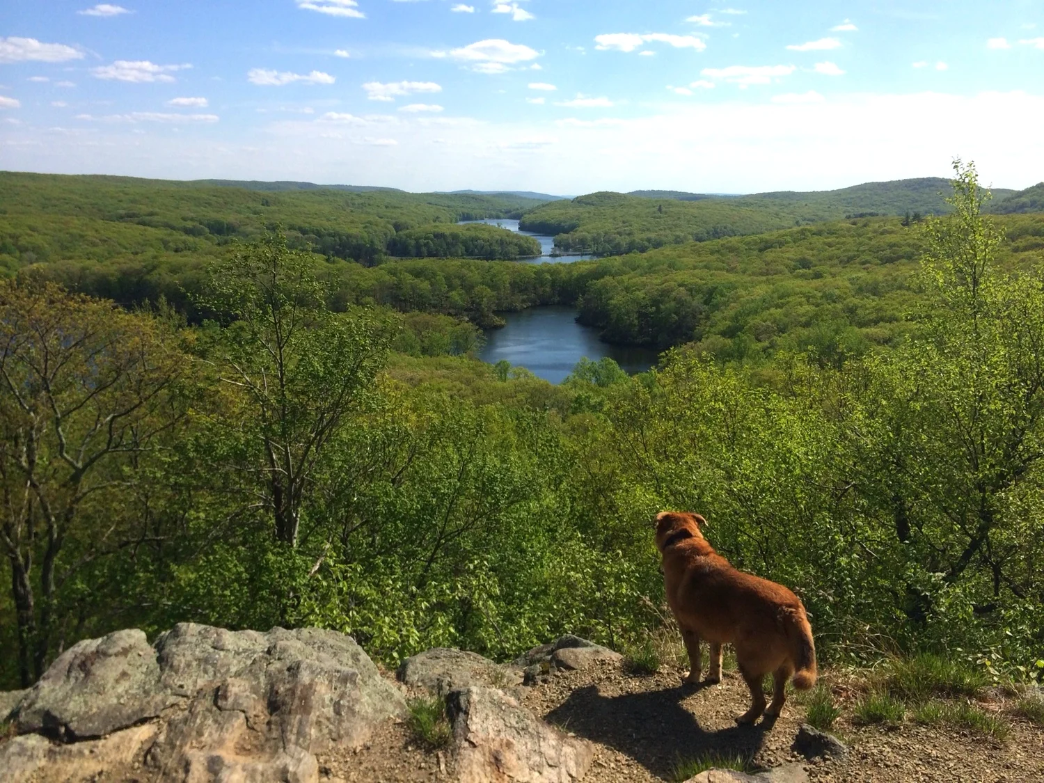 Viewpoint atop Pine Swamp Mountain