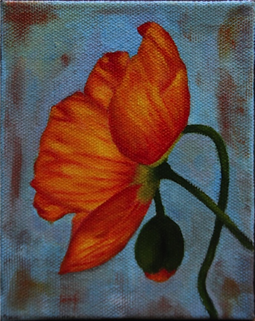 Orange Icelandic Poppy 5” x 4” oil on canvas