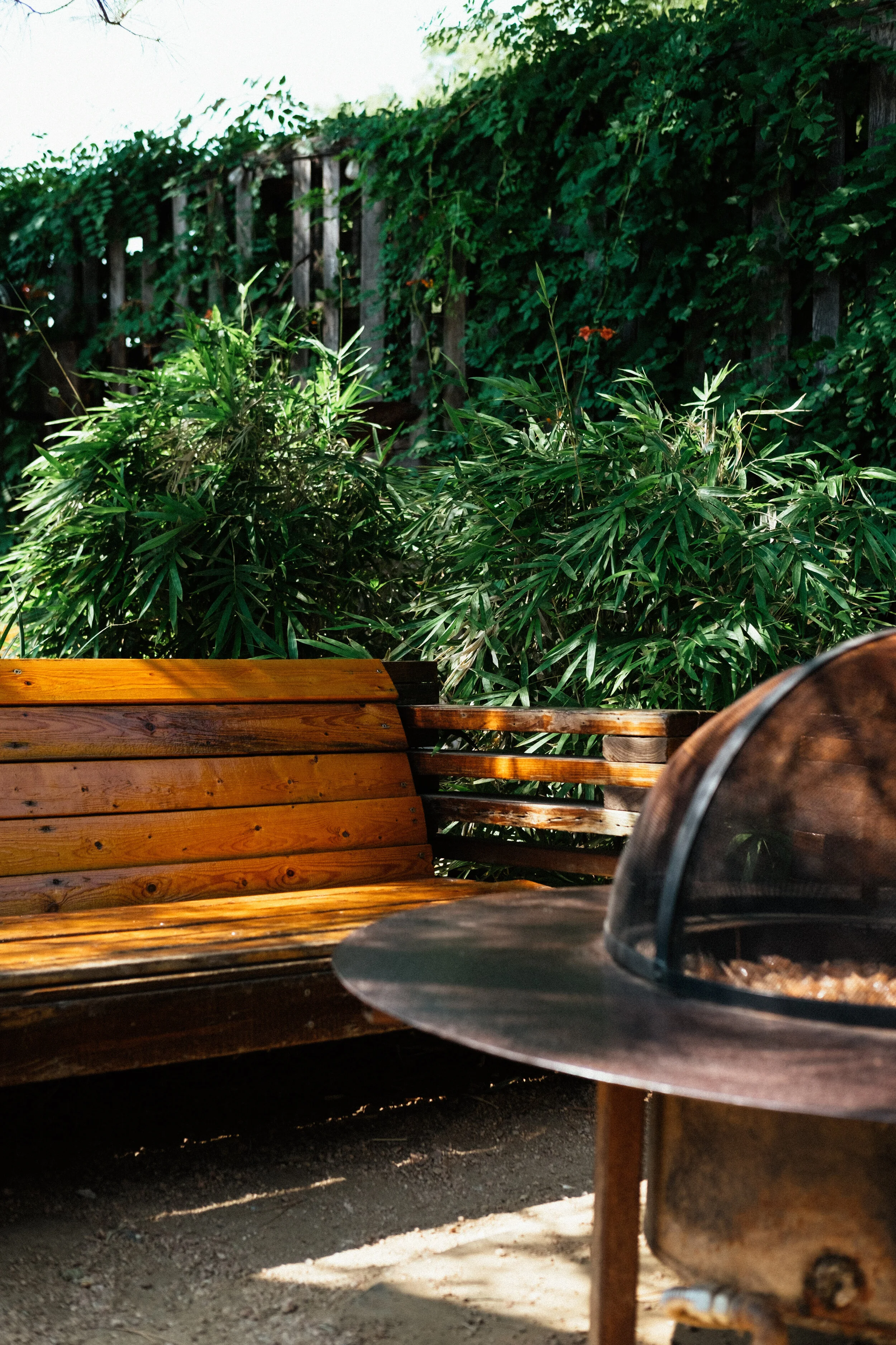 Harvest House Denton, TX