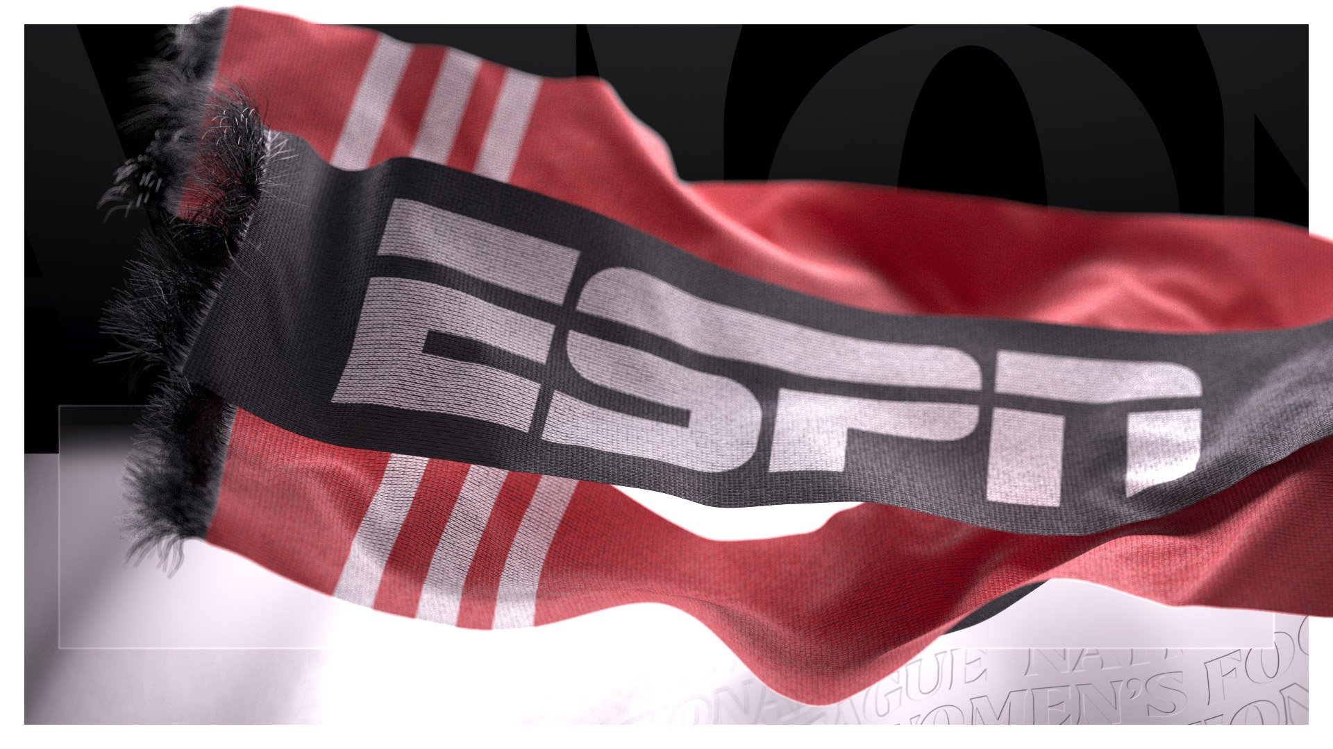 ESPN_scarf_001_3.jpg