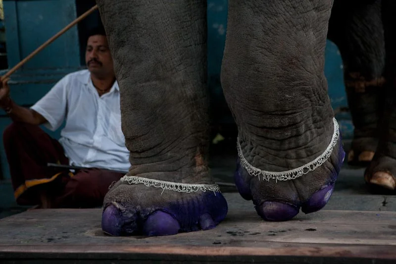 india-9.jpg
