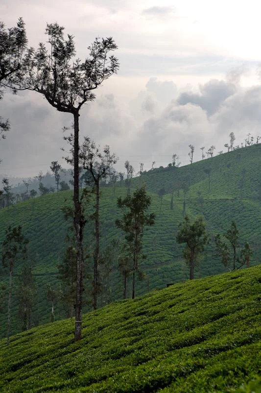 india-18.jpg