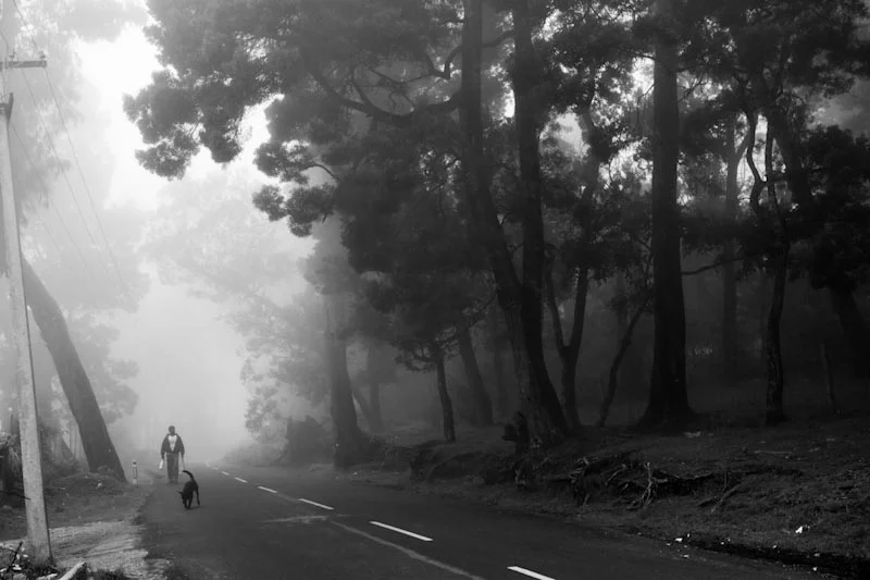 bwtravel-6.jpg