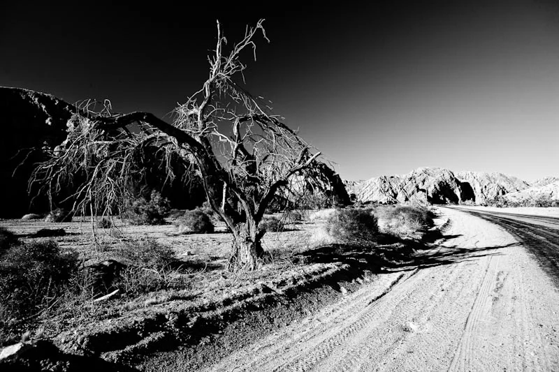 bwtravel-19.jpg