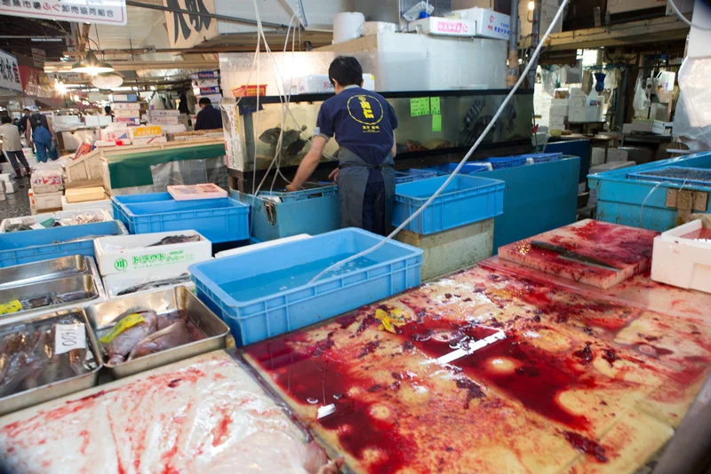tsukiji-13.jpg