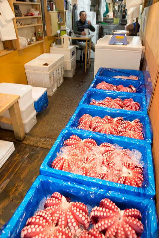 tsukiji-14.jpg