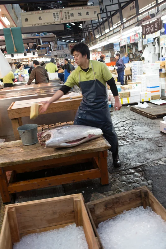 tsukiji-24.jpg