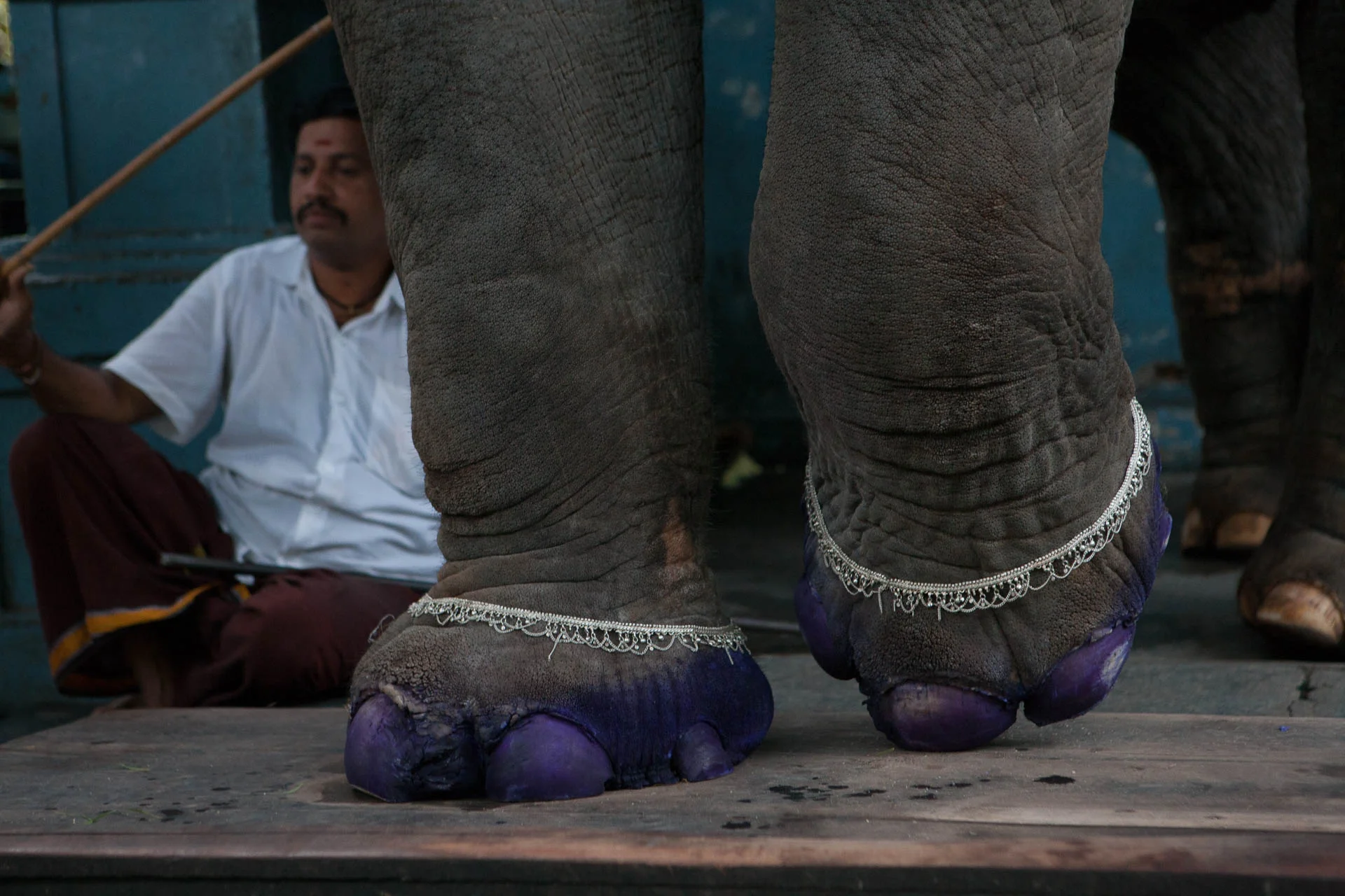 Pondicherry, India