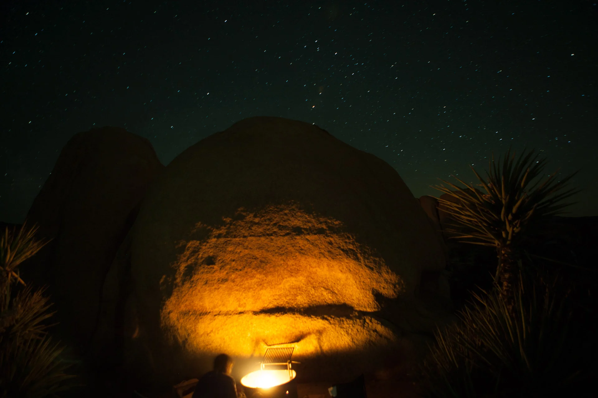 Joshua Tree, California