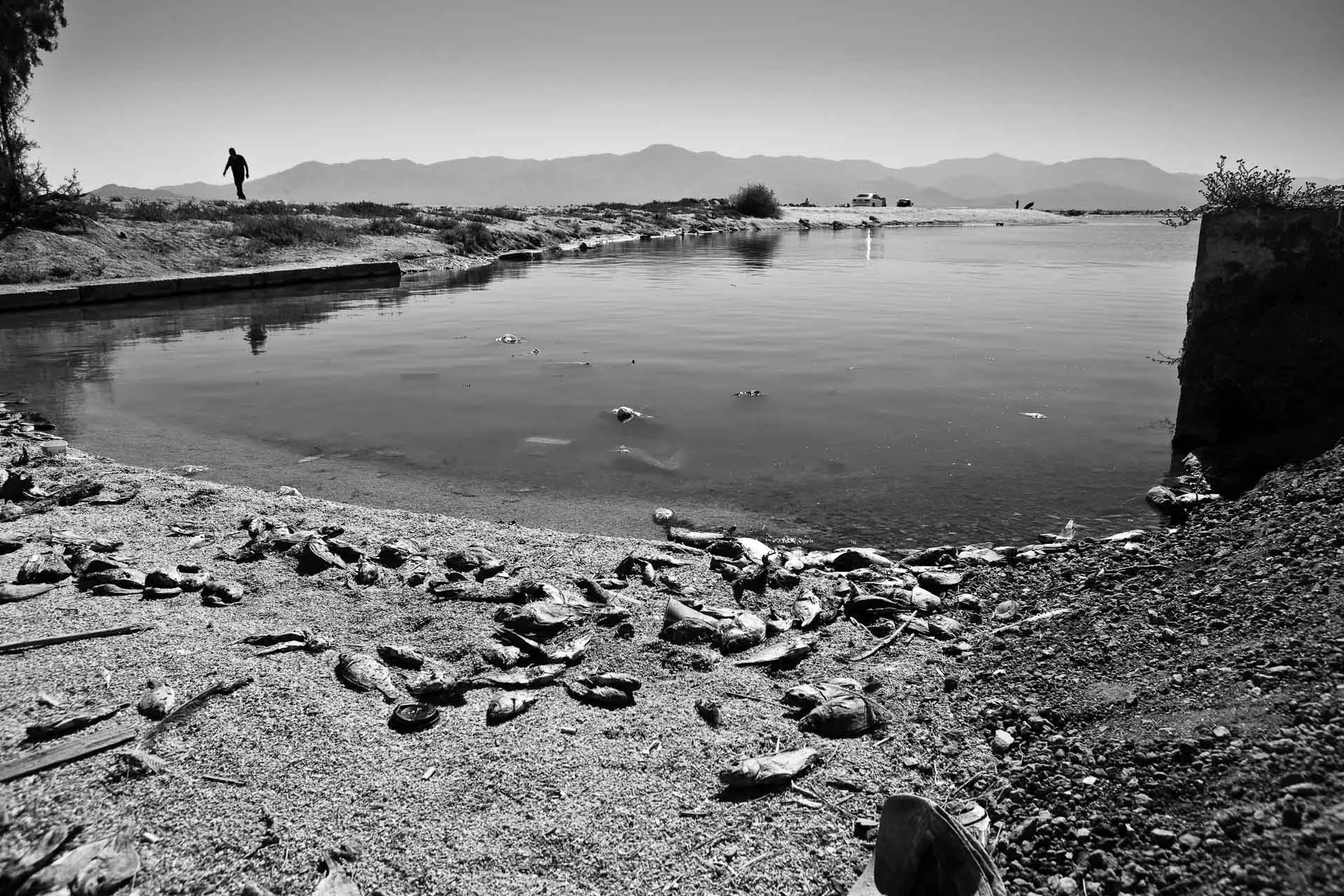 Salton Sea, California