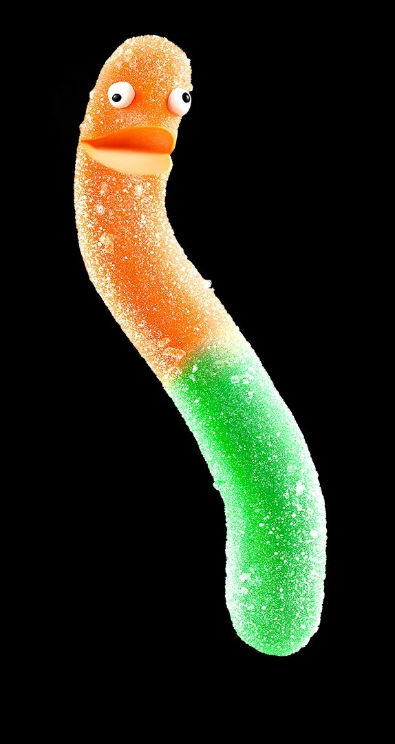 WormLibrary3.jpg