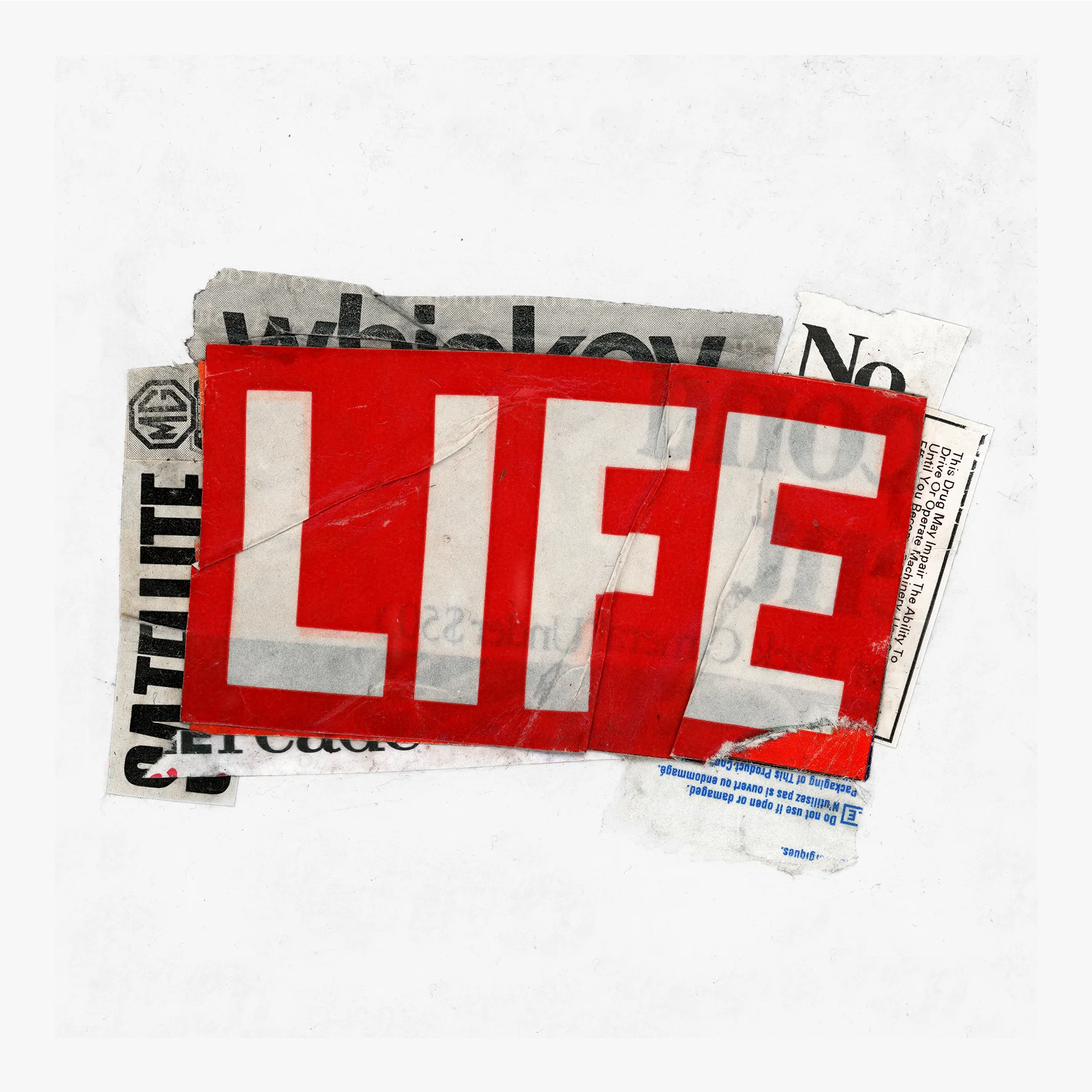 LIFE | 40 X 40 IN | ARCHIVAL PIGMENT PRINT ON COTTON PAPER HAND FINISHED | EDITION OF 3