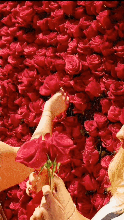 Dec-04-2025 12-36-16.gif