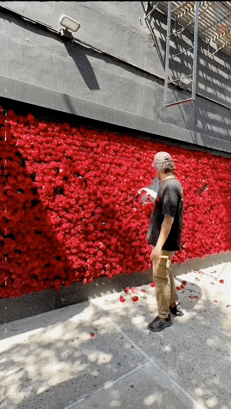 Dec-04-2025 12-36-00.gif