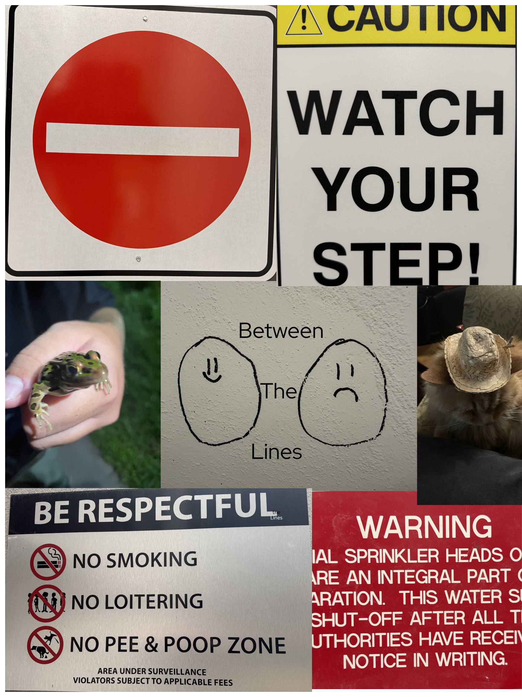Between (1).png