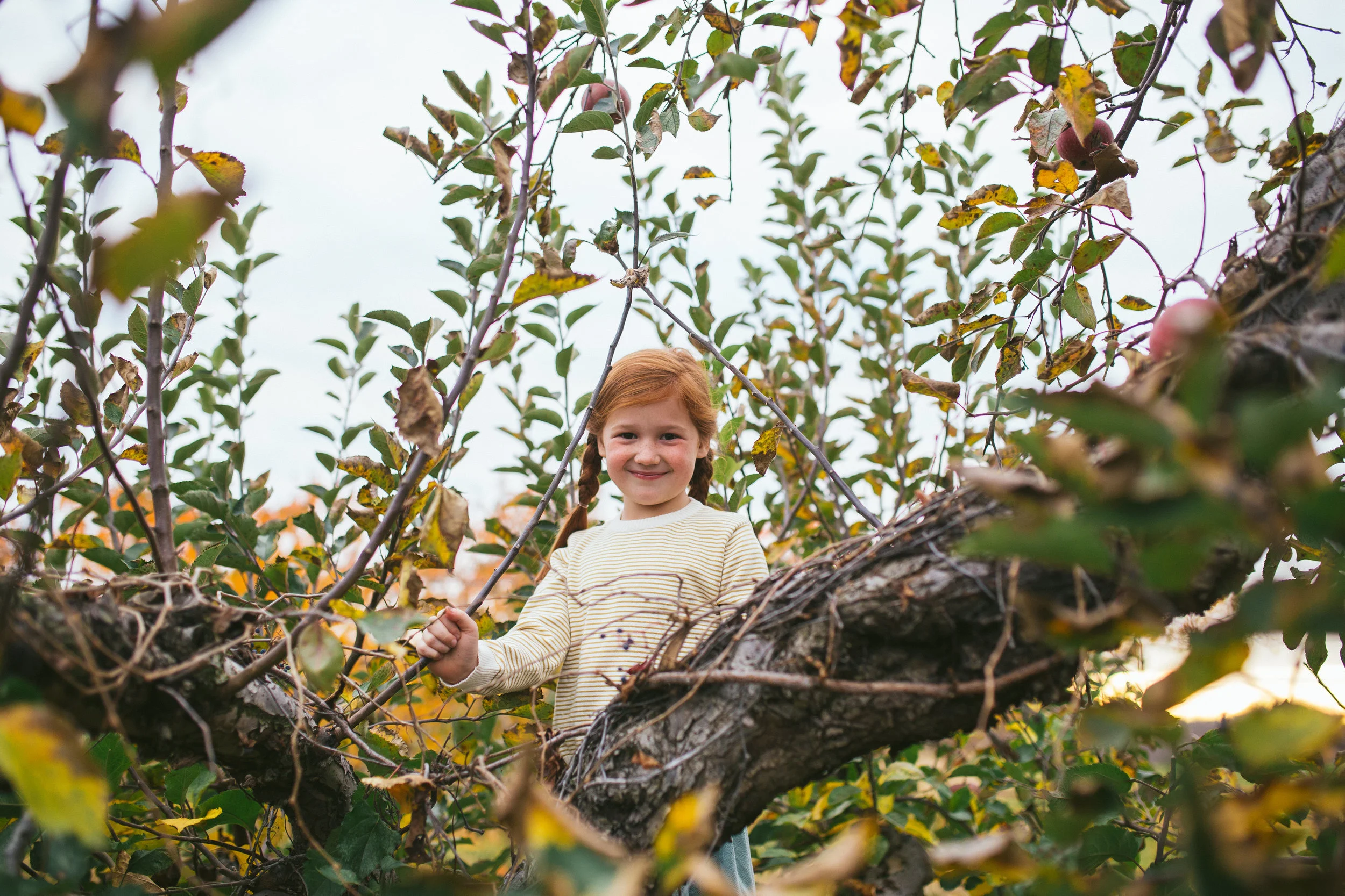 Gipson Family 2015-20.jpg