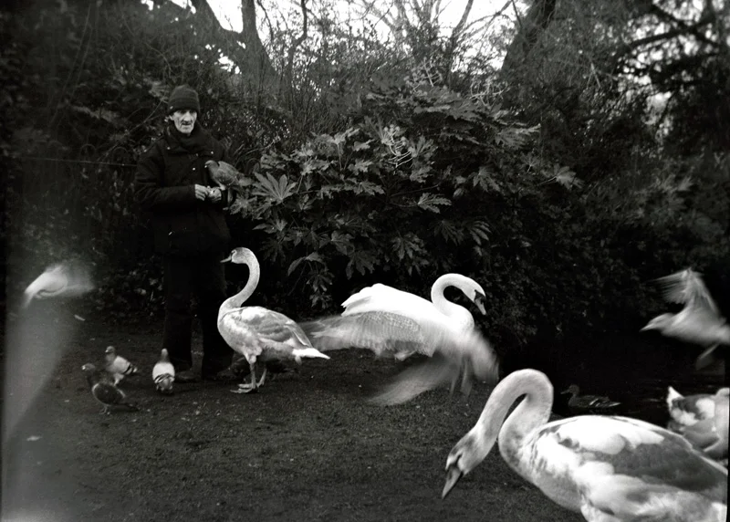 Stephens Green Today